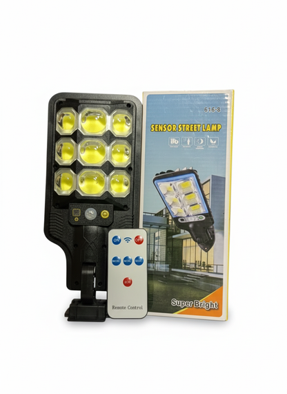 SOLAR INDUCTION STREET LAMP 50 WATTS